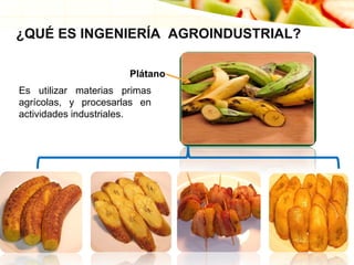 ¿QUÉ ES INGENIERÍA AGROINDUSTRIAL?
Plátano
Es utilizar materias primas
agrícolas, y procesarlas en
actividades industriales.
 