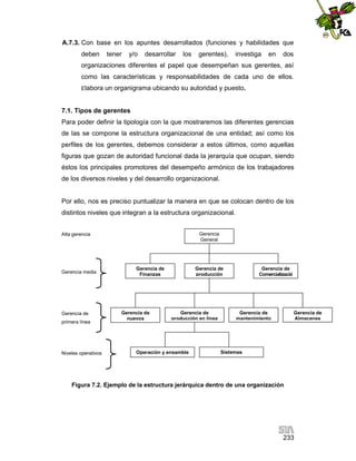 A.7.3. Con base en los apuntes desarrollados (funciones y habilidades que
deben

tener

y/o

desarrollar

los

gerentes),

investiga

en

dos

organizaciones diferentes el papel que desempeñan sus gerentes, así
como las características y responsabilidades de cada uno de ellos.
Elabora

un organigrama ubicando su autoridad y puesto.

7.1. Tipos de gerentes
Para poder definir la tipología con la que mostraremos las diferentes gerencias
de las se compone la estructura organizacional de una entidad; así como los
perfiles de los gerentes, debemos considerar a estos últimos, como aquellas
figuras que gozan de autoridad funcional dada la jerarquía que ocupan, siendo
éstos los principales promotores del desempeño armónico de los trabajadores
de los diversos niveles y del desarrollo organizacional.

Por ello, nos es preciso puntualizar la manera en que se colocan dentro de los
distintos niveles que integran a la estructura organizacional.
Gerencia
General

Alta gerencia

Gerencia media

Gerencia de
primera línea

Niveles operativos

Gerencia de
Finanzas

Gerencia de
nuevos

Gerencia de
producción

Gerencia de
producción en línea

Operación y ensamble

Gerencia de
Comercializació

Gerencia de
mantenimiento

Gerencia de
Almacenes

Sistemas
automatizados

Figura 7.2. Ejemplo de la estructura jerárquica dentro de una organización

233

 