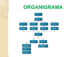 ORGANIGRAMA