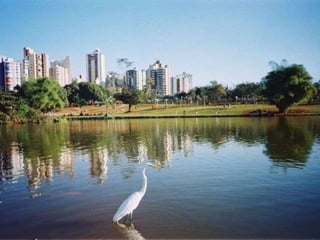 Ademar Gomes Ribeiro