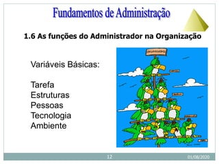 1.6 As funções do Administrador na Organização
Variáveis Básicas:
Tarefa
Estruturas
Pessoas
Tecnologia
Ambiente
01/08/2020
12
 