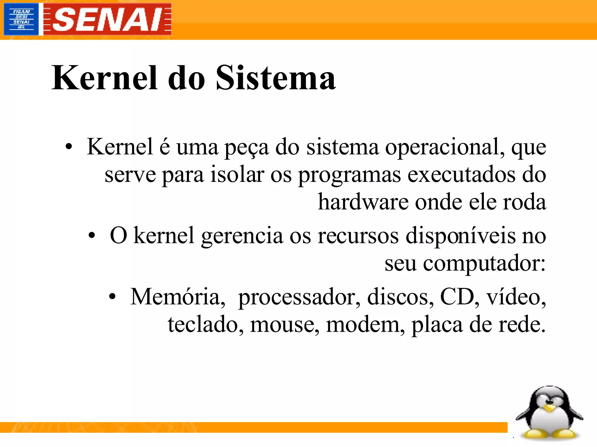 Kernel do Sistema Kernel é uma peça do sistema operacional, que serve para isolar os programas executados do hardware onde ele roda O kernel gerencia os recursos disponíveis no seu computador: Memória,  processador, discos, CD, vídeo, teclado, mouse, modem, placa de rede. 