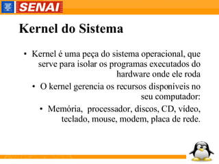 Kernel do Sistema Kernel é uma peça do sistema operacional, que serve para isolar os programas executados do hardware onde ele roda O kernel gerencia os recursos disponíveis no seu computador: Memória,  processador, discos, CD, vídeo, teclado, mouse, modem, placa de rede. 
