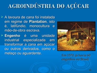 AGROINDÚSTRIA DO AÇÚCARAGROINDÚSTRIA DO AÇÚCAR
 A lavoura de cana foi instaladaA lavoura de cana foi instalada
em regime deem regime de PlantationPlantation, isto, isto
é, latifúndio, monocultura eé, latifúndio, monocultura e
mão-de-obra escrava.mão-de-obra escrava.
 EngenhoEngenho é uma unidadeé uma unidade
industrial especializada emindustrial especializada em
transformar a cana em açúcartransformar a cana em açúcar
ou outros derivados, como oou outros derivados, como o
melaço ou aguardente.melaço ou aguardente.
2828
Em 1570, já havia 60Em 1570, já havia 60
engenhos no Brasil.engenhos no Brasil.
 