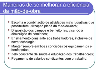 Maneiras de se melhorar à eficiência
da mão-de-obra
 Escolha e combinação de atividades mais lucrativas que
possibilitem utilização plena da mão-de-obra;
 Disposição dos campos e benfeitorias, visando à
diminuição de caminhos;
 Ensinamento constante aos trabalhadores, inclusive de
nova tecnologia;
 Manter sempre em boas condições os equipamentos e
benfeitorias;
 Zelo constante da saúde e educação dos trabalhadores;
 Pagamento de salários condizentes com o trabalho.
 