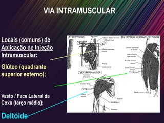 VIA INTRAMUSCULAR
Locais (comuns) de
Aplicação de Injeção
Intramuscular:
Glúteo (quadrante
superior externo);
Vasto / Face Lateral da
Coxa (terço médio);
Deltóide
 