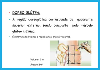 • DORSO-GLÚTEA:
• A região dorsoglútea corresponde ao quadrante
superior externo, sendo composta pelo músculo
glúteo máximo.
• É determinado dividindo a região glútea em quatro partes.
Volume: 5 ml
Ângulo: 90º
 