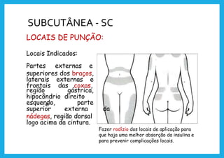 SUBCUTÂNEA - SC
LOCAIS DE PUNÇÃO:
Locais Indicados:
Partes externas e
superiores dos braços,
laterais externas e
frontais das coxas,
região gástrica,
hipocôndrio direito
e
esquerdo, parte
superior externa da
nádegas, região dorsal
logo acima da cintura.
Fazer rodízio dos locais de aplicação para
que haja uma melhor absorção da insulina e
para prevenir complicações locais.
 