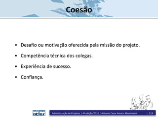 Coesão
• Desafio ou motivação oferecida pela missão do projeto.
• Competência técnica dos colegas.
• Experiência de sucesso.
• Confiança.
Administração de Projetos | 4ª edição/2010 | Antonio Cesar Amaru Maximiano | 118
 