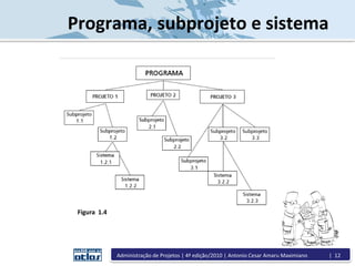 Programa, subprojeto e sistema
Figura 1.4
Administração de Projetos | 4ª edição/2010 | Antonio Cesar Amaru Maximiano | 12
 