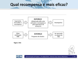 Qual recompensa é mais eficaz?
Figura 14.6
Administração de Projetos | 4ª edição/2010 | Antonio Cesar Amaru Maximiano | 176
 