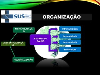ORGANIZAÇÃO
DESCENTRALIZAÇÃ
O
HIERARQUIZAÇÃ
O
REGIONALIZAÇÃO
REGIÕES DE
SAÚDE
Intramunicipais
Intraestaduais
Interestaduais
Fronteiriças
 