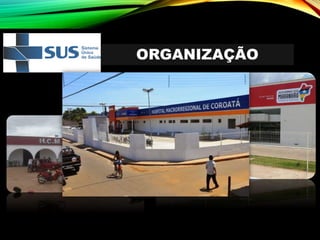 ORGANIZAÇÃO
 