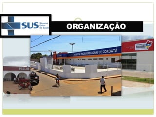 ORGANIZAÇÃO
 