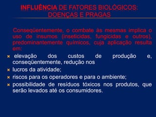 INFLUÊNCIA DE FATORES BIOLÓGICOS:
DOENÇAS E PRAGAS
Conseqüentemente, o combate às mesmas implica o
uso de insumos (inseticidas, fungicidas e outros),
predominantemente químicos, cuja aplicação resulta
em:
 elevação dos custos de produção e,
conseqüentemente, redução nos
 lucros da atividade;
 riscos para os operadores e para o ambiente;
 possibilidade de resíduos tóxicos nos produtos, que
serão levados até os consumidores.
 