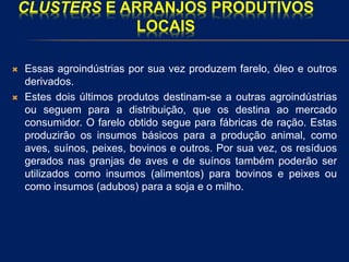 CLUSTERS E ARRANJOS PRODUTIVOS
LOCAIS
 Essas agroindústrias por sua vez produzem farelo, óleo e outros
derivados.
 Estes dois últimos produtos destinam-se a outras agroindústrias
ou seguem para a distribuição, que os destina ao mercado
consumidor. O farelo obtido segue para fábricas de ração. Estas
produzirão os insumos básicos para a produção animal, como
aves, suínos, peixes, bovinos e outros. Por sua vez, os resíduos
gerados nas granjas de aves e de suínos também poderão ser
utilizados como insumos (alimentos) para bovinos e peixes ou
como insumos (adubos) para a soja e o milho.
 