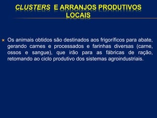CLUSTERS E ARRANJOS PRODUTIVOS
LOCAIS
 Os animais obtidos são destinados aos frigoríficos para abate,
gerando carnes e processados e farinhas diversas (carne,
ossos e sangue), que irão para as fábricas de ração,
retomando ao ciclo produtivo dos sistemas agroindustriais.
 
