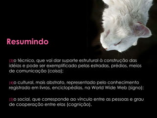 o técnico, que vai dar suporte estrutural à construção das idéias e pode ser exemplificado pelas estradas, prédios, meios de comunicação (coisa); o cultural, mais abstrato, representado pelo conhecimento registrado em livros, enciclopédias, na World Wide Web (signo); o social, que corresponde ao vínculo entre as pessoas e grau de cooperação entre elas (cognição). 
