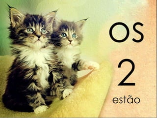 os 2 estão 