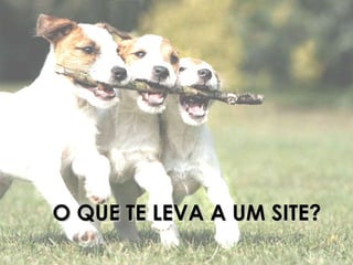 O QUE TE LEVA A UM SITE? 