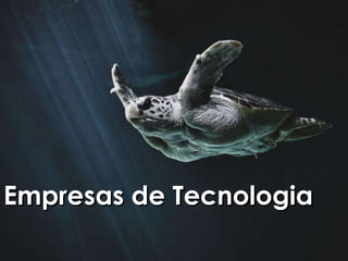 Empresas de Tecnologia 