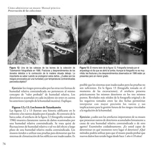 Figura 12: Una de las cabezas de los leones de la colección de
Tutankamón fotografiada en 1986. Fracturas y desprendimientos de los
dorados debidos a la contracción de la madera situada debajo. Lo
importante es saber cuándo se produjeron estos daños. ¿Cuáles son los
riesgos provocados por una humedad y por temperaturas contraindicadas
paraestosobjetos?
Figura 13: El mismo león de la figura 12. Fotografía tomada por el
arqueólogo el día que se abrió la tumba. Aunque la fotografía no es muy
nítida, las fracturas y los desprendimientos observados en 1986 están ya
presentes pero en menor grado.
76
Cómo administrar un museo: Manual práctico
Preservación de las colecciones
Ejercicio: los riesgos provocadospor las otras tres formas de
humedad relativa contraindicada no pertenecen al mismo
concepto de “valor probado” de humedad relativa. Los
deterioros se acumulan en cada incidente sin tener en cuenta
losanteriores (ejemplo dela humedad excesiva).Explique.
Figuras 12 y 13. Los leones deTutankamón
Las figuras 12 y 13 ilustran una historia edificante en lo
referente a los rastros dejados por el pasado. Al contrario de la
barca solar, el artefacto de la figura 12 (fotografía tomada en
1986) muestra claramente rastros de daños ocasionados por
una humedad relativa contraindicada. Se trata quizá de
fluctuaciones de humedad relativa o tal vez del efecto a largo
plazo de una humedad relativa media contraindicada. Los
museos tienden a utilizar esas pruebas para demostrar que los
sistemas de climatización de los edificios son inadecuados. Es
posible que los sistemas sean inadecuados pero las pruebas no
son suficientes. En la figura 13 (fotografía tomada en el
momento de las excavaciones), el artefacto presenta
prácticamente los mismos deterioros en los tres mismos
puntos. Revelados más nítidos de la fotografía original y de
los negativos tomados entre las dos fechas permitirían
interpretar con mayor precisión los rastros y sus
implicaciones para la gestión futura de los riesgos vinculados
alaregulación dela humedad.
Ejercicio: ¿cuáles son los artefactos importantes de su museo
que presentan rastros de deterioros acumulados lentamente a
causa de una humedad relativa contraindicada o de otro
agente? Examínelos cuidadosamente. ¿Es usted capaz de
determinar en qué momento tuvo lugar el deterioro? ¿Qué
métodos podría utilizar para que el museo pueda probar que
nuevosdañoshan tenidolugardesdehace1añoó10años?
 