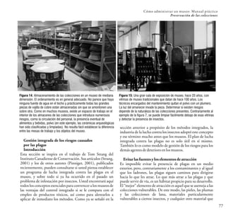 Cómo administrar un museo: Manual práctico
Preservación de las colecciones
77
Gestión integrada de los riesgos causados
por las plagas
Introducción
Esta sección se inspira en el trabajo de Tom Strang del
Instituto Canadiense de Conservación. Sus artículos (Strang,
2001) y los de otros autores (Pinniger, 2001), publicados
recientemente, pueden consultarse si usted piensa establecer
un programa de lucha integrada contra las plagas en el
museo, y sobre todo si ya ha ocurrido en el pasado un
problema de infestación por insectos. Usted encontrará aquí
todos los conceptos esenciales para convencer a los museos de
las ventajas del control integrado si se le compara con el
empleo de productos tóxicos, así como para alentarlos a
aplicar de inmediato los métodos. Como ya se señaló en la
sección anterior a propósito de los métodos integrados, la
industria de la lucha contra los insectos adoptó este concepto
y ese término mucho antes que los museos. El plan de lucha
integrada contra las plagas no es solo útil en sí mismo.
También lo es como modelo de gestión de los riesgos para los
demásagentesdedeterioroen los museos.
Evitar las fuentes y los elementos de atracción
Es imposible evitar la presencia de plagas en un medio
exterior, pero, contrariamente a los contaminantes y al igual
que los ladrones, las plagas siguen caminos para dirigirse
hacia lo que les atrae. Lo que más atrae a las plagas y que
puede servir de vía, es un hábitat propicio para su desarrollo.
El “mejor” elemento de atracción es aquel que se asemeja a las
colecciones vulnerables. De este modo, las pieles, las plumas
y las colecciones de lana, materiales particularmente
vulnerables a ciertos insectos, y cualquier otro material que
Figura 14: Almacenamiento de las colecciones en un museo de mediana
dimensión. El ordenamiento es en general adecuado. No parece que haya
ninguna fuente de agua en el techo y prácticamente todas las grandes
piezas de vajilla de cobre están almacenadas sin que se amontonen una
sobre otra. Como en muchos museos, existe un espacio de trabajo en el
interior de los almacenes de las colecciones que introduce numerosos
riesgos, como la circulación del personal, la presencia eventual de
alimentos y bebidas, polvo (en este ejemplo, las cerámicas arqueológicas
han sido clasificadas y limpiadas). No resulta fácil establecer la diferencia
entre las mesas de trabajo y los objetos del museo.
Figura 15: Una gran sala de exposición de museo, hace 20 años, con
vitrinas de museo tradicionales que datan de hace 100 años. Los
técnicos encargados del mantenimiento quitan el polvo con un plumero.
La luz del amanecer invade la pieza. Determinar si existen riesgos
depende de la naturaleza de las colecciones presentes. Contrariamente al
ejemplo de la figura 7, se puede limpiar fácilmente debajo de esas vitrinas
y detectar la presencia de insectos.
 