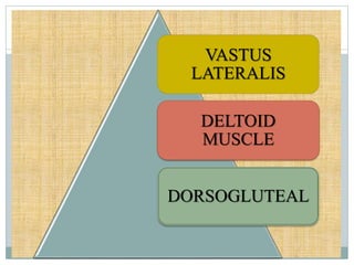 VASTUS
LATERALIS
DELTOID
MUSCLE
DORSOGLUTEAL
 