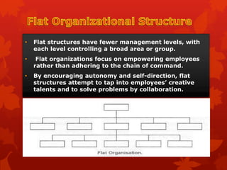 Organizational Structure | PPTX