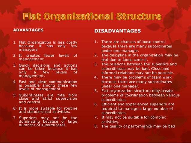 Organizational Structure