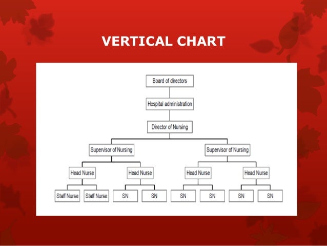 Nursing Hierarchy Chart