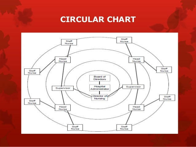 organizational structure horizontal organization chart