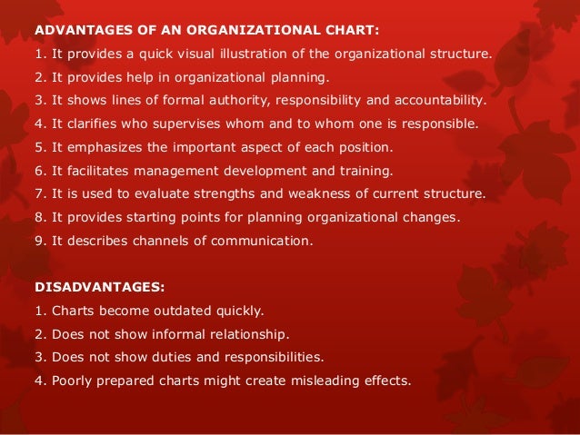 Organizational Structure