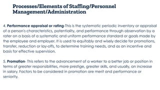 Comprehensive Guide to Staffing and Personnel Management Processes | PDF
