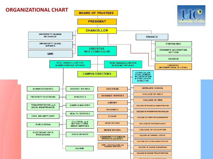 School Of Nursing Organizational Chart