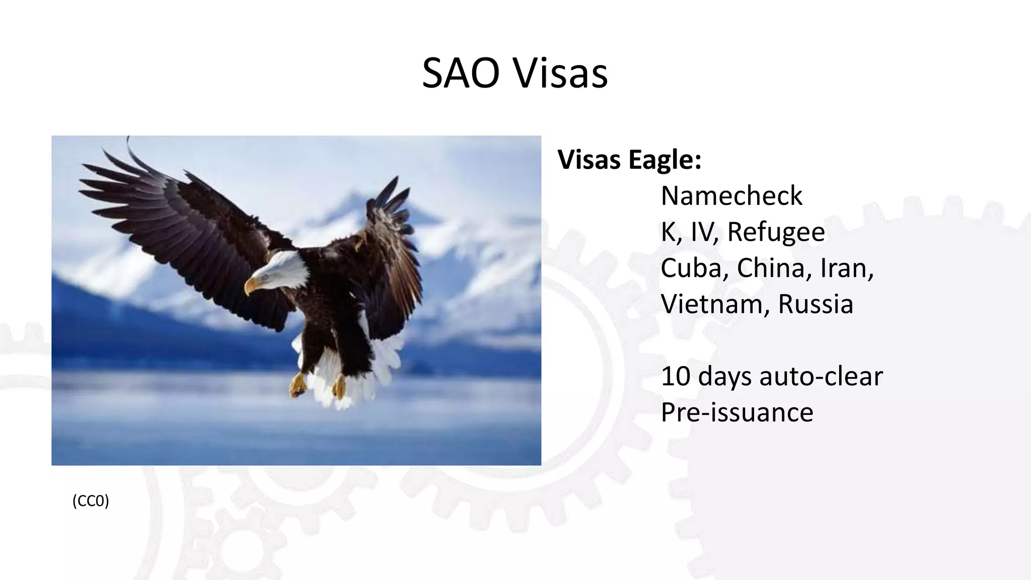 SAO Visas
Visas Eagle:
Namecheck
K, IV, Refugee
Cuba, China, Iran,
Vietnam, Russia
10 days auto-clear
Pre-issuance
(CC0)
 