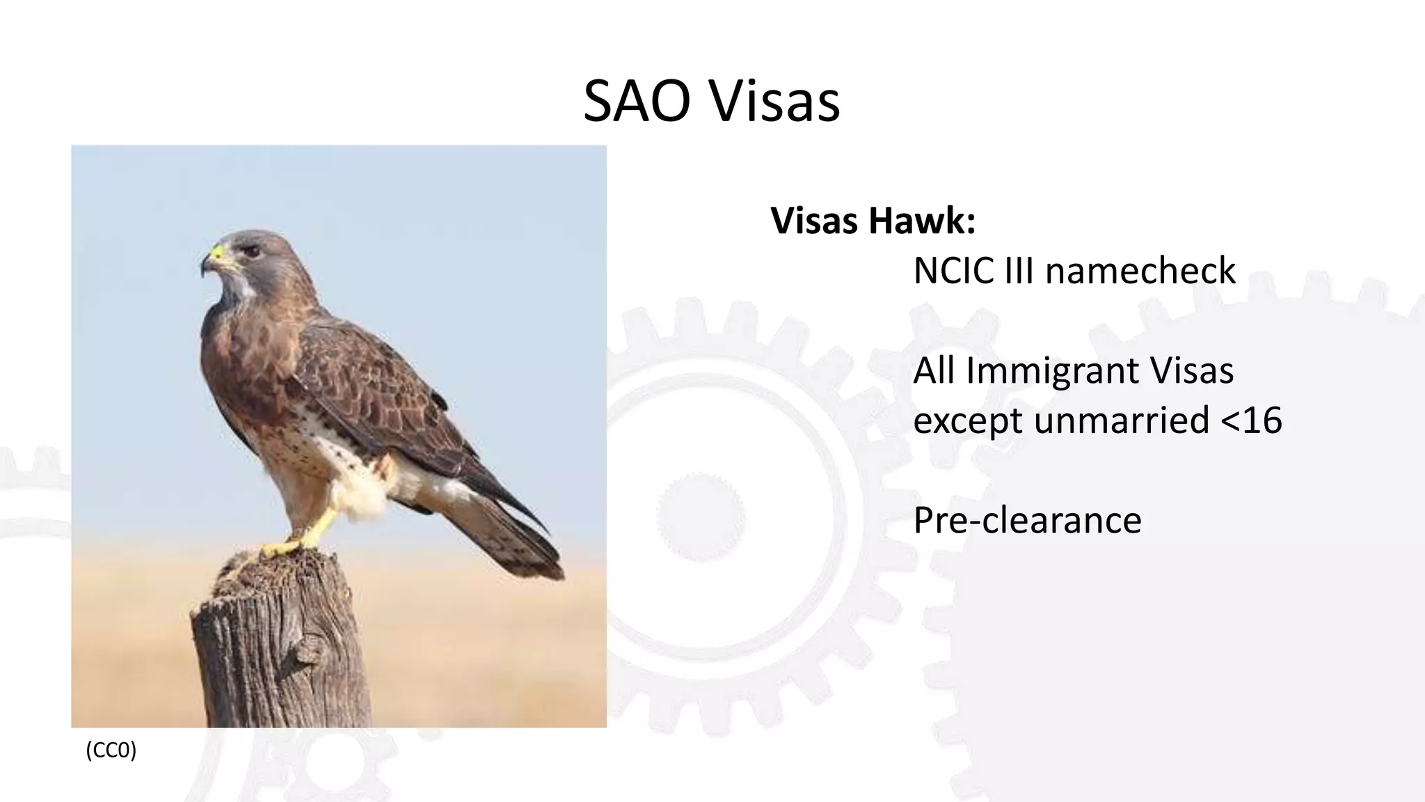 SAO Visas
Visas Hawk:
NCIC III namecheck
All Immigrant Visas
except unmarried <16
Pre-clearance
(CC0)
 