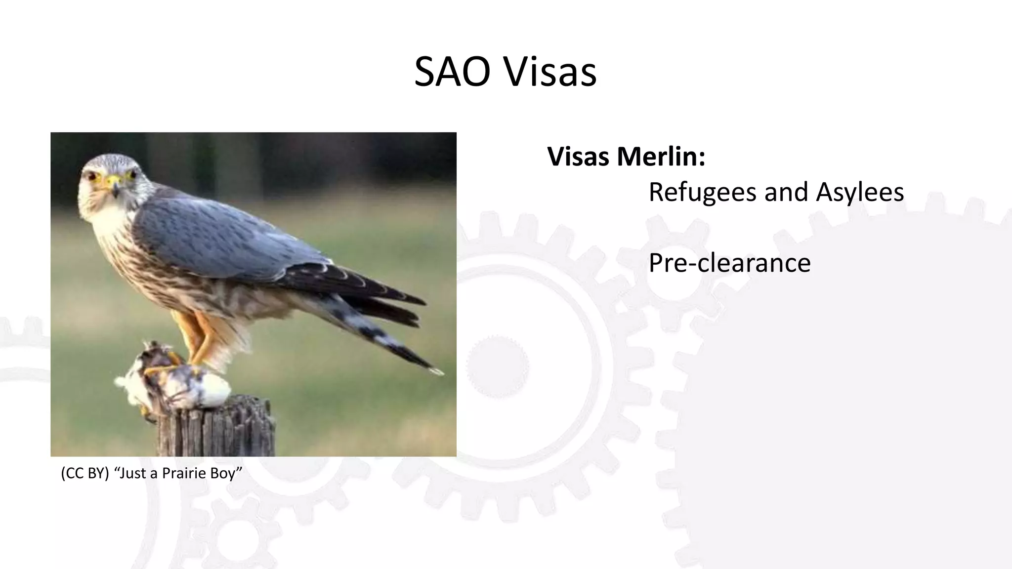 SAO Visas
Visas Merlin:
Refugees and Asylees
Pre-clearance
(CC BY) “Just a Prairie Boy”
 