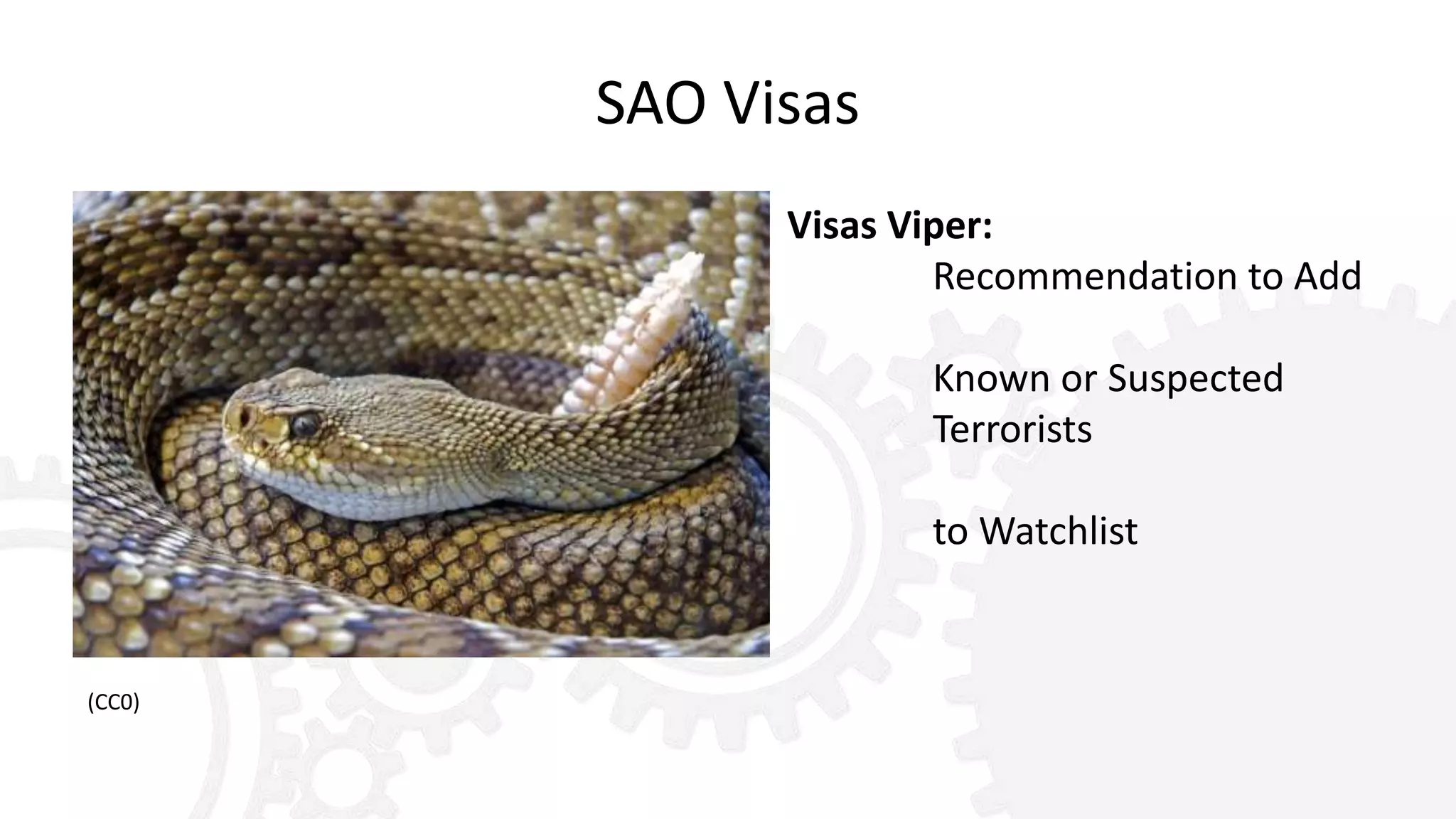 SAO Visas
Visas Viper:
Recommendation to Add
Known or Suspected
Terrorists
to Watchlist
(CC0)
 