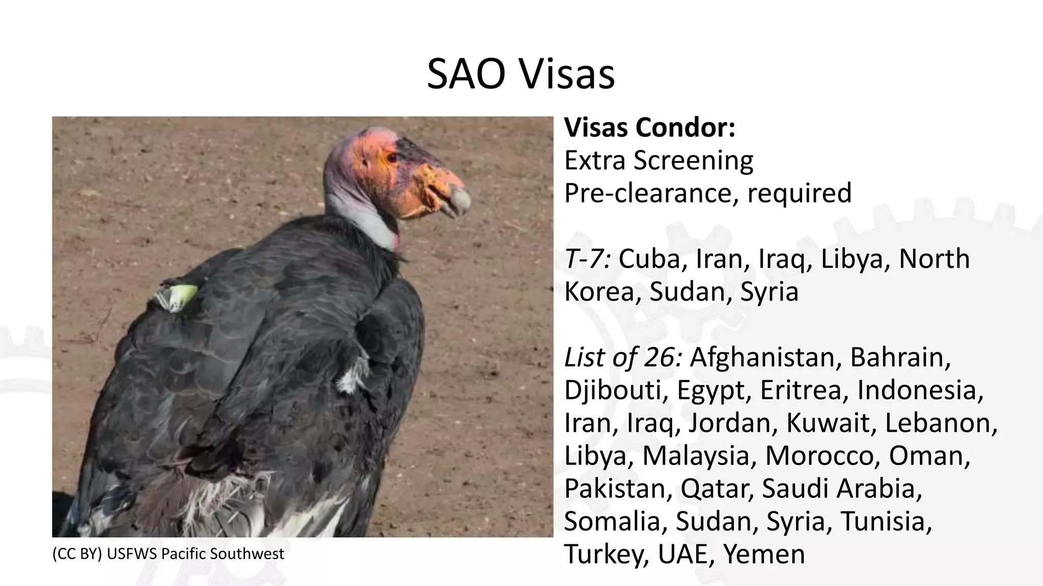SAO Visas
Visas Condor:
Extra Screening
Pre-clearance, required
T-7: Cuba, Iran, Iraq, Libya, North
Korea, Sudan, Syria
List of 26: Afghanistan, Bahrain,
Djibouti, Egypt, Eritrea, Indonesia,
Iran, Iraq, Jordan, Kuwait, Lebanon,
Libya, Malaysia, Morocco, Oman,
Pakistan, Qatar, Saudi Arabia,
Somalia, Sudan, Syria, Tunisia,
Turkey, UAE, Yemen(CC BY) USFWS Pacific Southwest
 