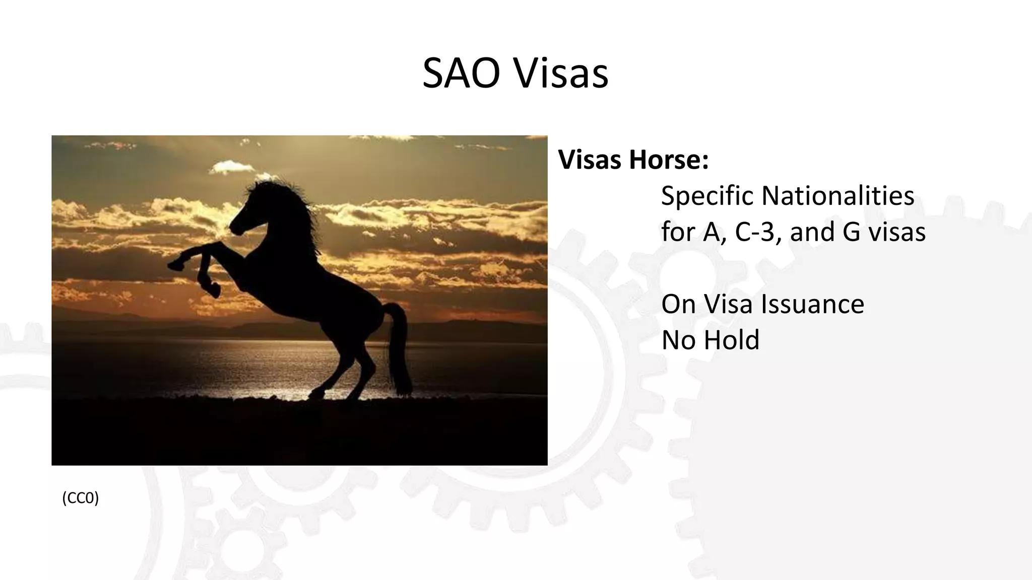SAO Visas
Visas Horse:
Specific Nationalities
for A, C-3, and G visas
On Visa Issuance
No Hold
(CC0)
 