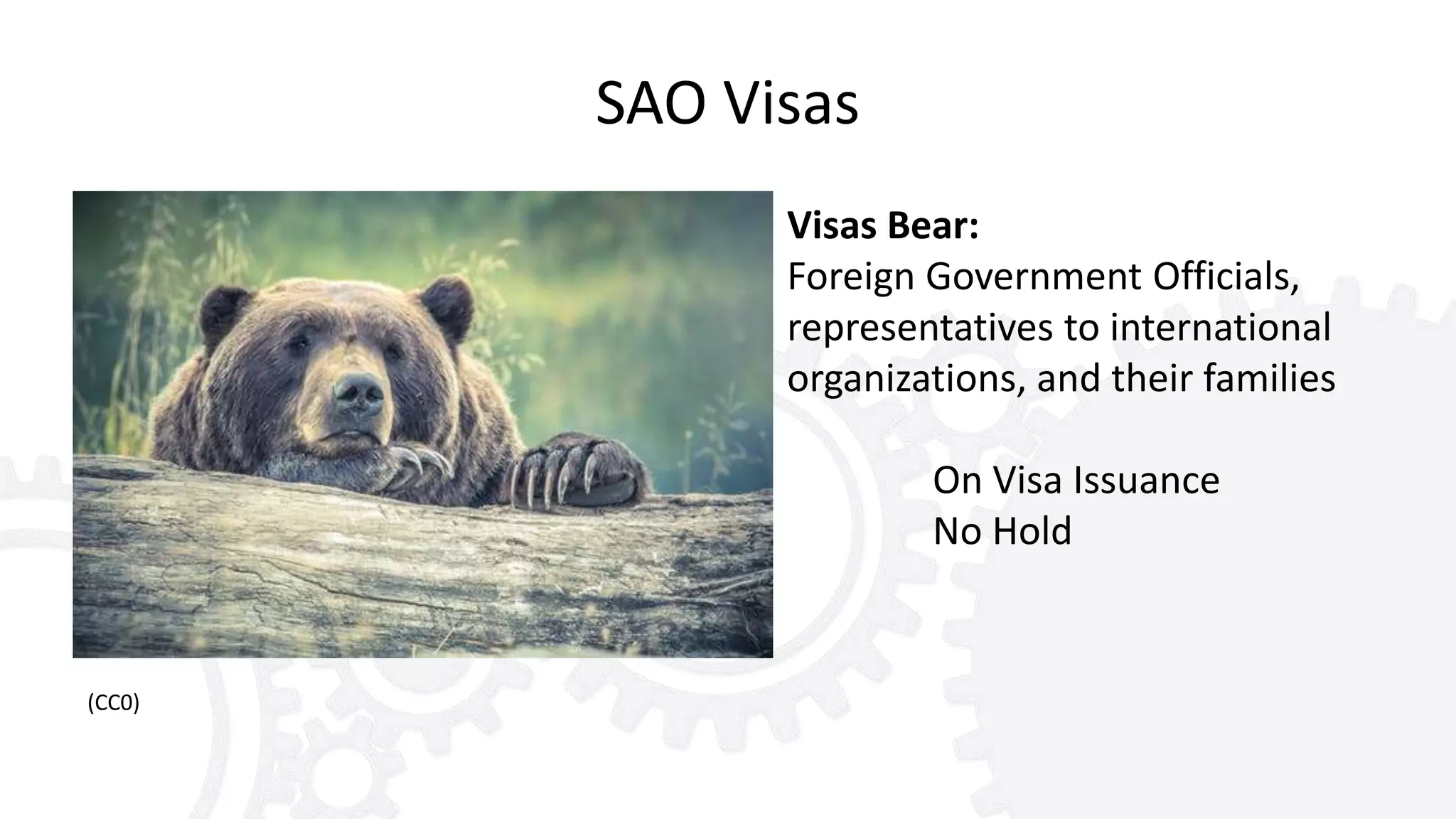 SAO Visas
Visas Bear:
Foreign Government Officials,
representatives to international
organizations, and their families
On Visa Issuance
No Hold
(CC0)
 