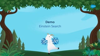 Demo
Einstein Search
 