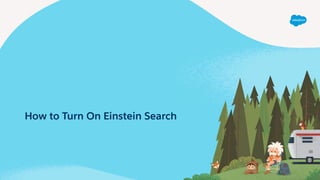How to Turn On Einstein Search
 