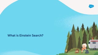 What is Einstein Search?
 