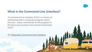 Intro to the Salesforce Command Line Interface for Admins | PDF