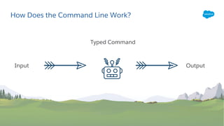 Intro to the Salesforce Command Line Interface for Admins | PDF