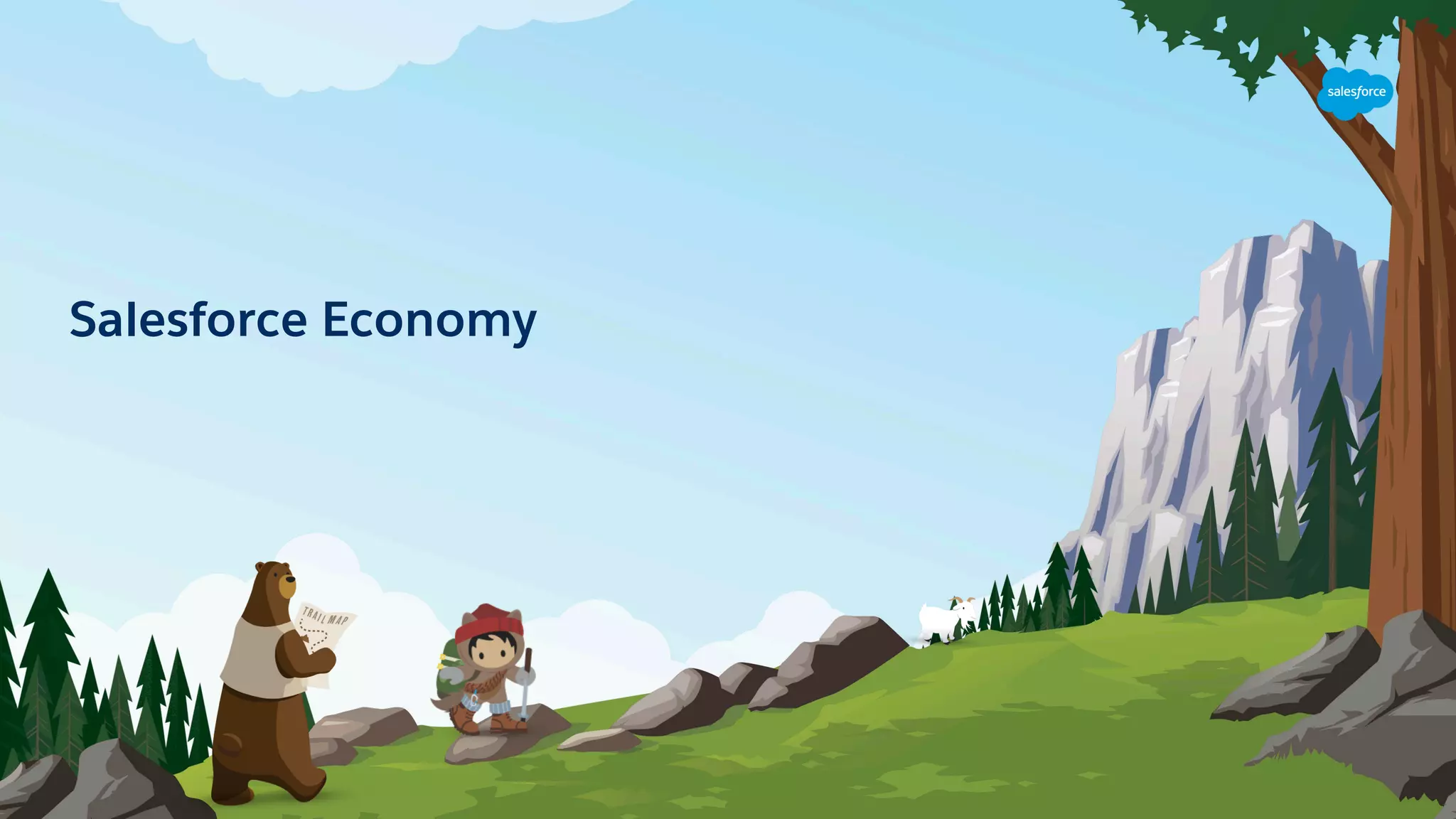 Salesforce Economy
 