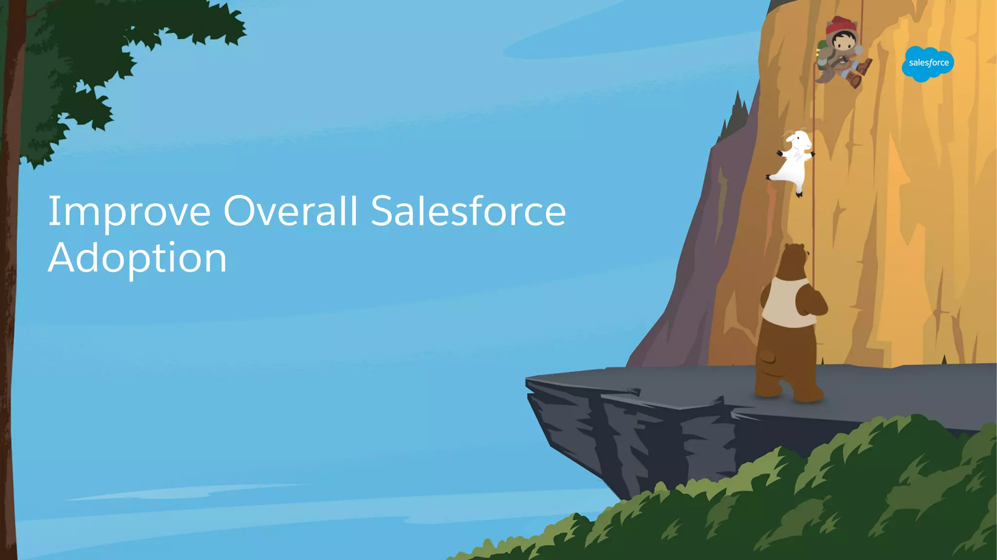 Improve Overall Salesforce
Adoption
 