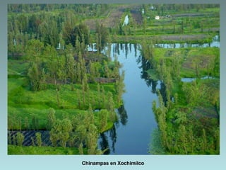 Chinampas en Xochimilco
 